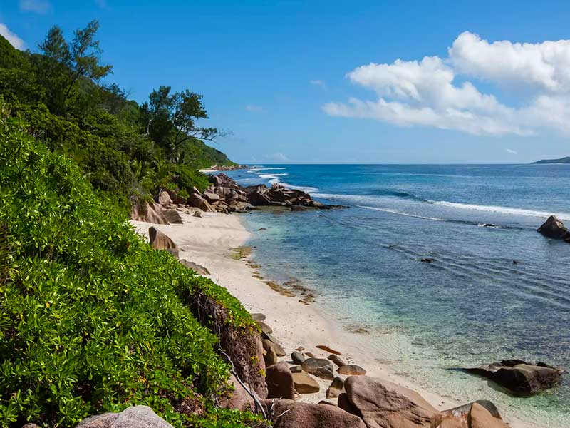 Anse Caiman trail la digue Seychelles